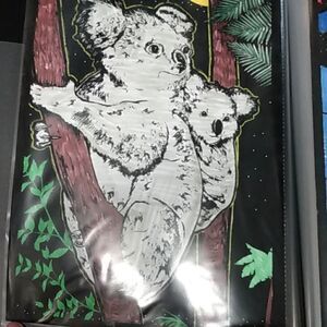 Color of a koala bear